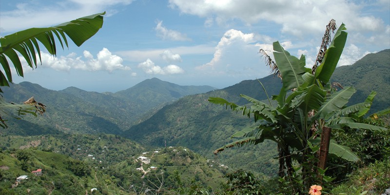 Blue Mountains View