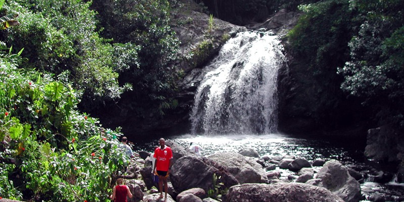 Blue Mountains Falls