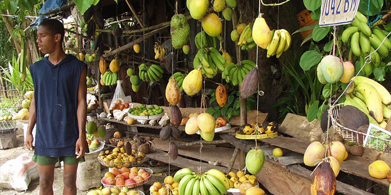 Fruits Shop