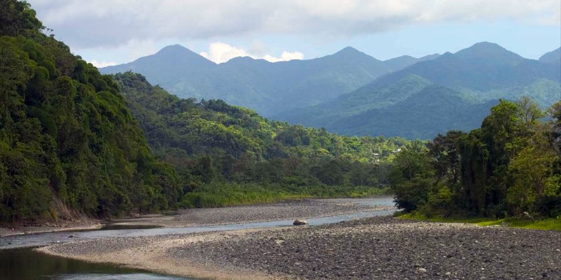 Rio Grande Port Antonio