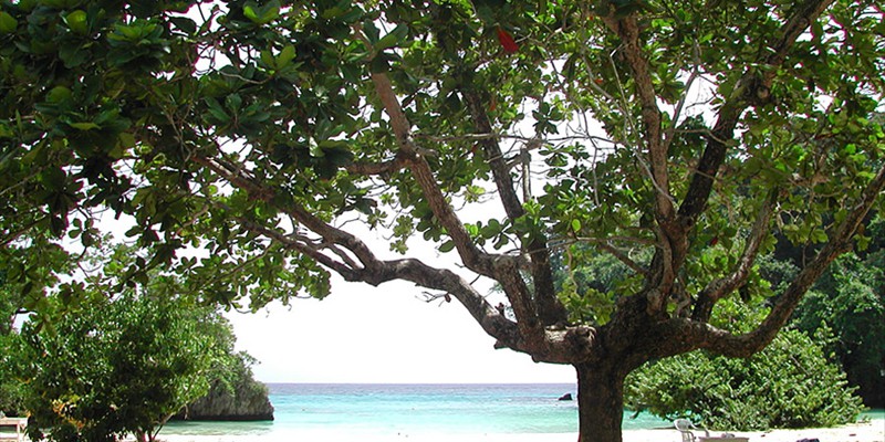 Frenchman's Cove Beach