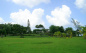 The garden