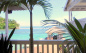 The View