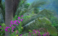 Humming Bird