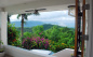 The View